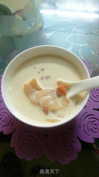 牛奶炖鱼胶的做法
