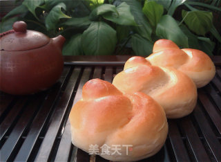 烫种扭结小餐包的做法