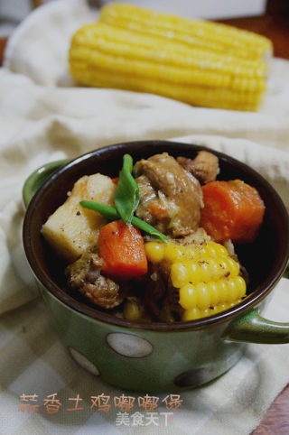 蒜香土鸡嘟嘟煲的做法