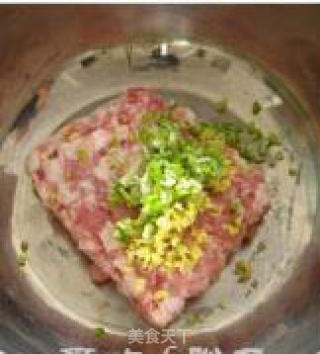 韭菜猪肉水饺的做法步骤：4