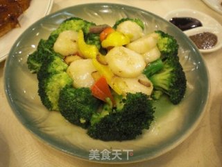 西兰花炒带子的做法