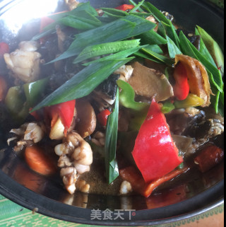 牛蛙锅仔的做法