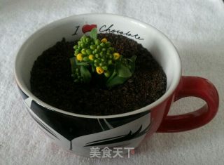 盆栽酸奶的做法