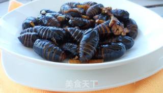 小抄茧蛹的做法