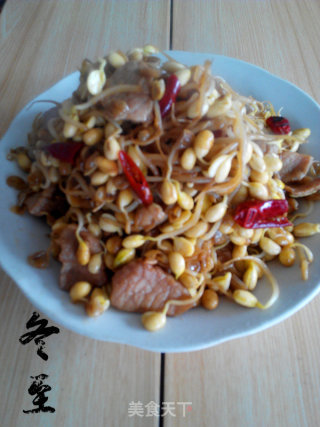 树椒炒黄豆芽的做法