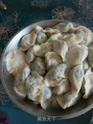苜蓿水饺的做法