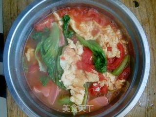 番茄鸡鸡汤的做法