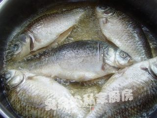 糟香豆瓣鲫鱼的做法步骤：5