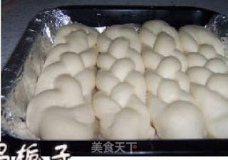 辫子小面包的做法步骤：4