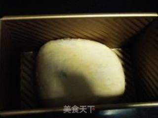 可可花生酱面包（汤种）的做法步骤：4