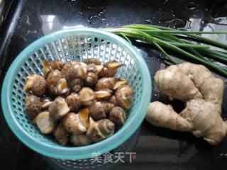 白灼花螺的做法步骤：4
