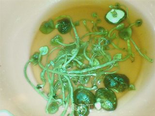 茶树菇香粉汤的做法步骤：2