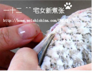 奶白色的鱼汤的做法步骤：4