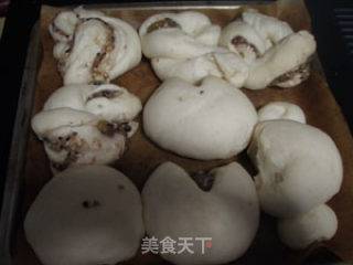 八果豆浆面包（汤种&老面结合）的做法步骤：5