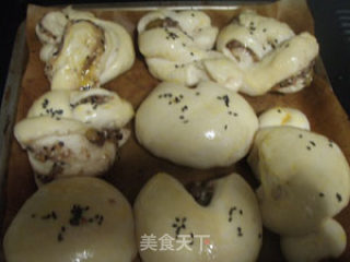 八果豆浆面包（汤种&老面结合）的做法步骤：5