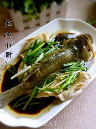清蒸鲈鱼—私房做法的做法