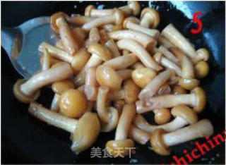 滑子蘑栗子鸡—秋季进补佳品的做法步骤：3