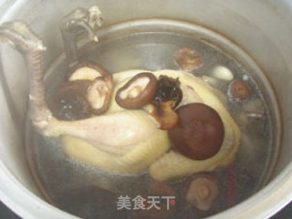 菌菇炖鸡的做法步骤：3