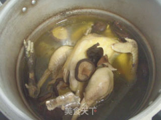 菌菇炖鸡的做法步骤：3