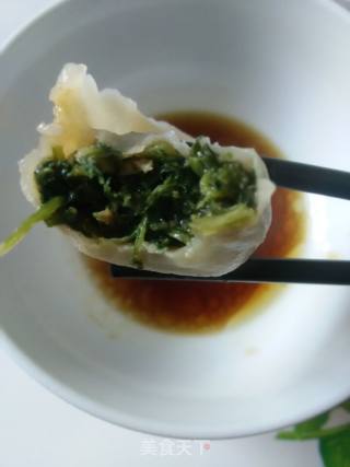 野味肉饺子~山芹菜大肉饺儿的做法