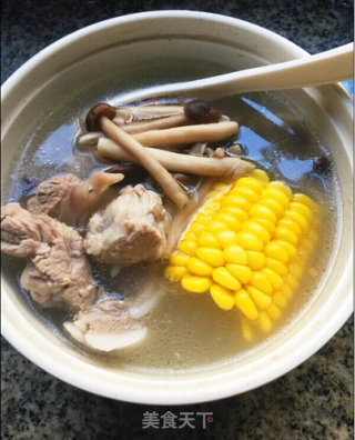 茶树菇玉米排骨汤的做法