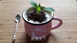 自制酸奶的做法