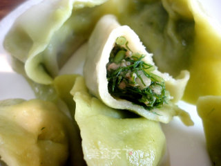 茴香馅猪肉饺子的做法