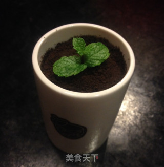 酸奶盆栽的做法