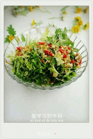 凉拌苦菊的做法