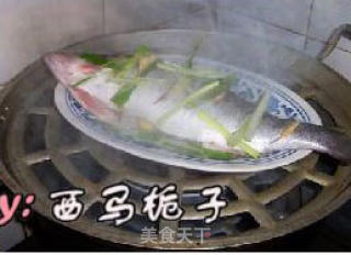 清蒸鲈鱼的做法步骤：3