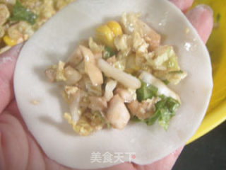 花样素馅饺子的做法步骤：4