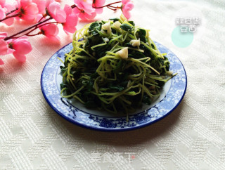 蒜香黑豆苗的做法