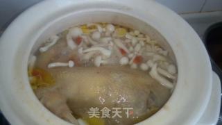 当归母鸡菌汤的做法
