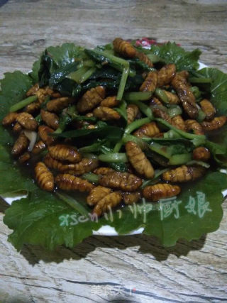 黄金绿叶~金丝蛹炒小白菜的做法