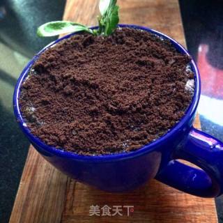 盆栽咖啡