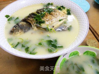 雷公根鲫鱼汤的做法