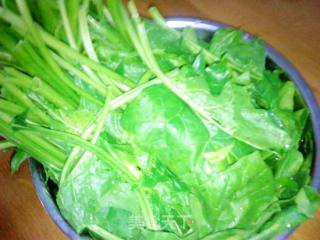 麻油海带拌菠菜的做法步骤：2