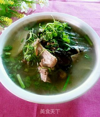 野鸭子汤的做法