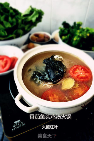番茄鱼头鸡汤火锅的做法