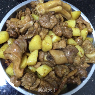土豆焖鸭的做法