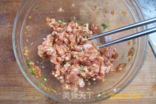 《葱烤鲫鱼焖肉蓉》的做法步骤：10