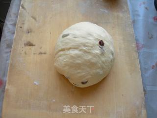 提子辫子面包的做法步骤：6