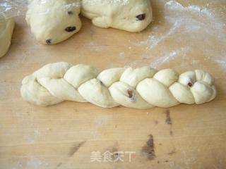 提子辫子面包的做法步骤：6
