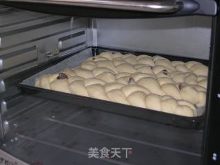 提子辫子面包的做法步骤：6