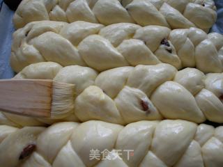 提子辫子面包的做法步骤：6