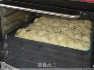 提子辫子面包的做法步骤：6
