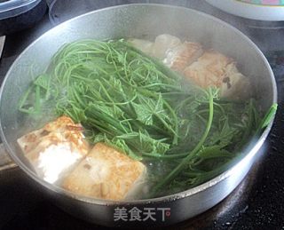 瓜苗烩豆腐的做法步骤：2