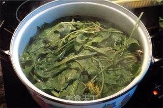 清热解毒蒲公英汤的做法步骤：2