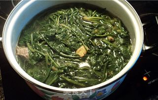 清热解毒蒲公英汤的做法步骤：2