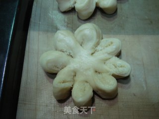 椰蓉菊花包的做法步骤：2